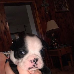 Meet your Posher, Marianne